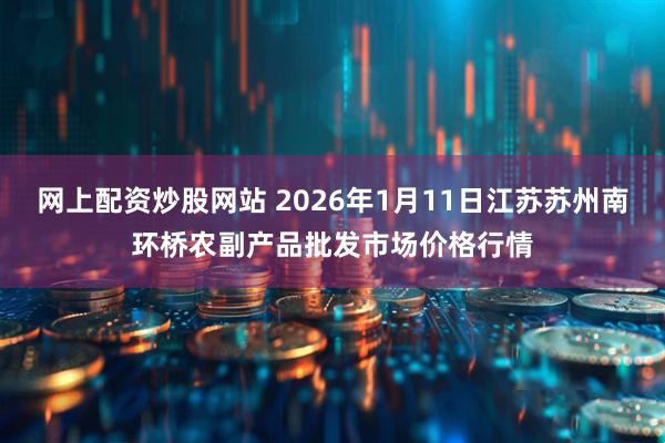 网上配资炒股网站 2026年1月11日江苏苏州南环桥农副产品批发市场价格行情